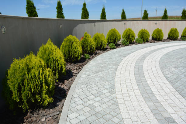 Best Driveway Repair Near Me  in Elkins, AR