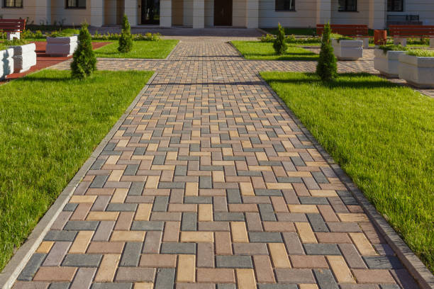 Best Driveway Repair Near Me  in Elkins, AR